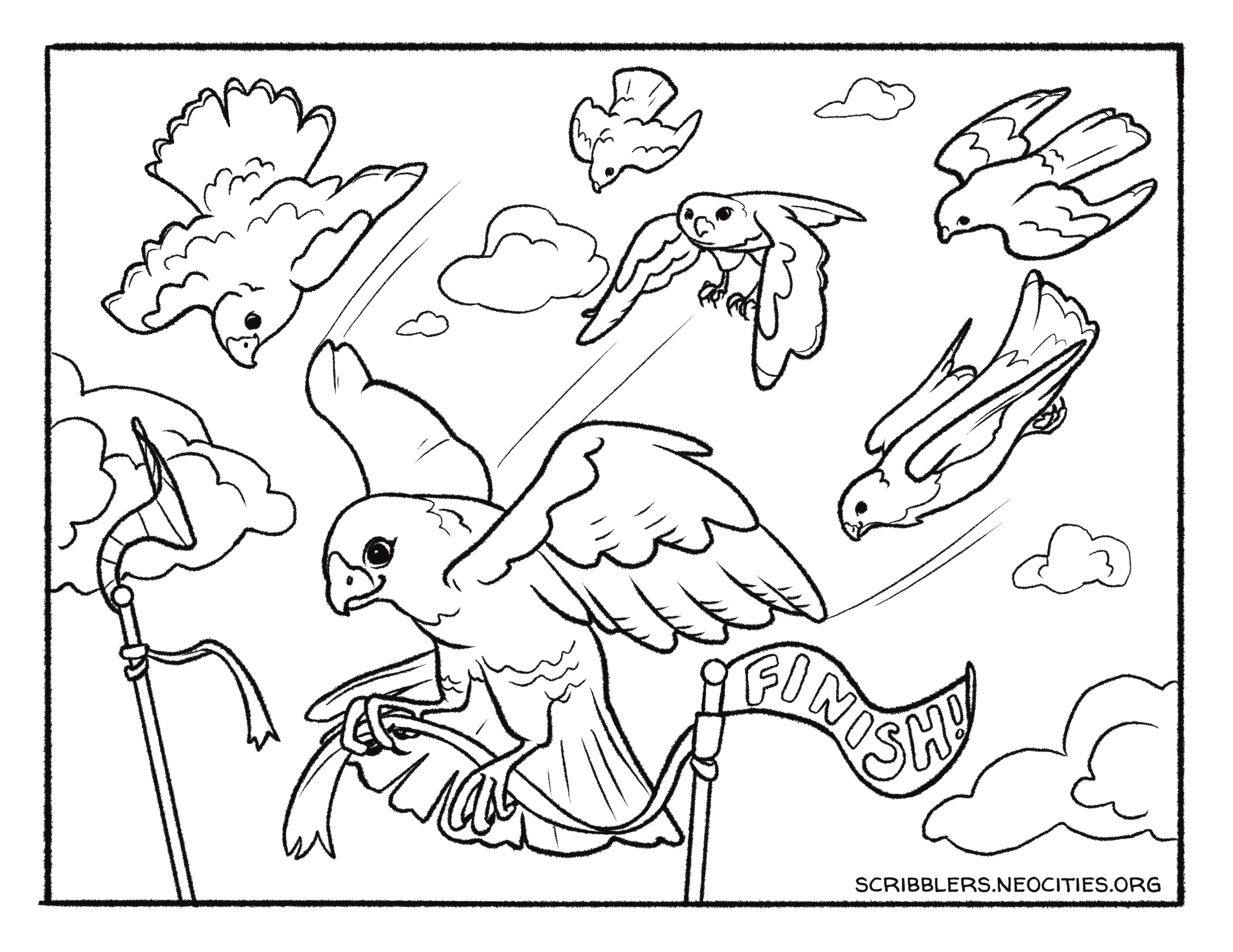 Peregrine Falcon Race